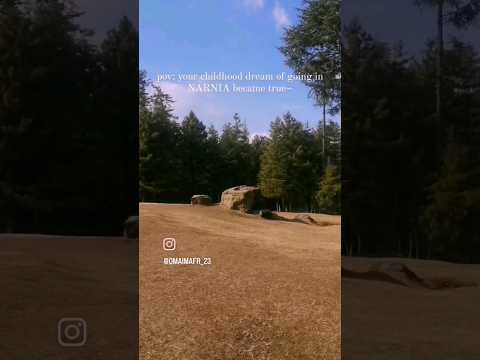 Suppose we have dreamed, or made up all these things...                ~C.S Lewis