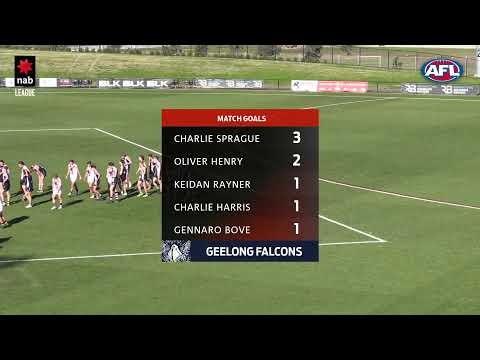NAB LEAGUE 2019: Round 10 - Geelong v Sandringham (Full Game)