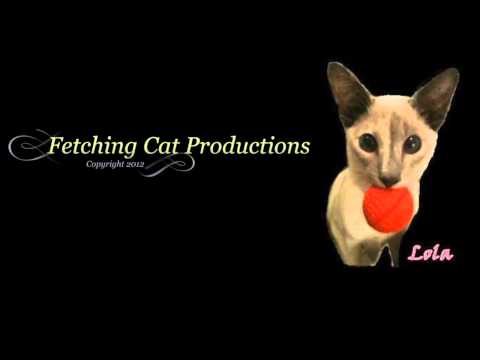 (Rock) Artist - Sink To See, Song - After You