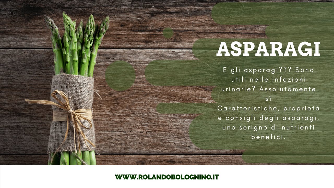 Rolando Alessio Bolognino-74