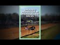 PETA Undercover: Meth-Doped Horses Drop Dead on Underground Racetrack #shorts