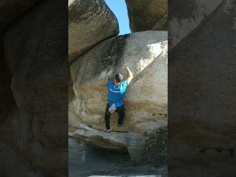 Gato Cósmico, 7a. Torrelodones