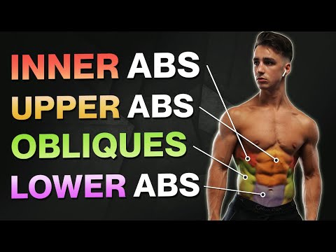 6 MIN BRUTAL ABS WORKOUT (NO EQUIPMENT BODYWEIGHT WORKOUT!)