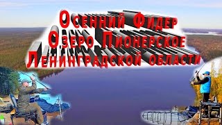 Все о рыбалка в ленинградской области выборгском районе