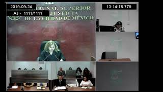 2  DESAHOGO DE PRUEBAS JUICIO ORAL FAMILIAR, PÉRDIDA DE LA PATRIA POTESTAD