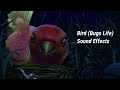 Bird Bugs Life Sound Effects