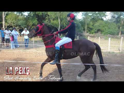 LA PEKE VS COSTEÑITA