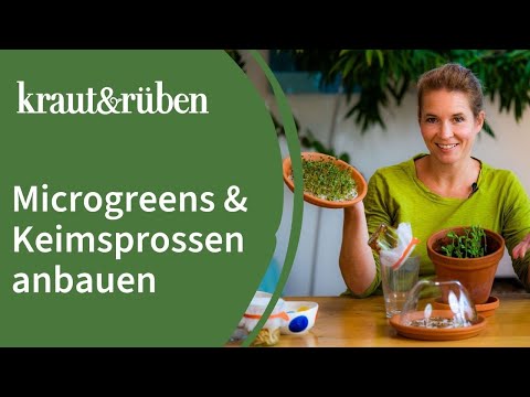 , title : 'Microgreens anbauen | Keimsprossen ziehen – Superfood für zu Hause'