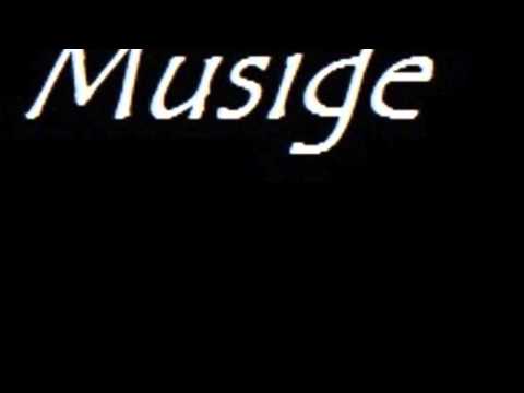 Hardwell Vs. Martin Garrix & MoTi - Virus Eclipse (Musige Mashup)