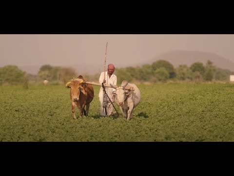 हरदा कृषि वृत्तचित्र