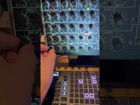 Anyware Instruments Tinysizer full analog modular synthesizer * rare ! image 10