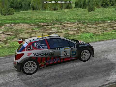 TOGNOZZI - PINELLI 32°RALLY VALDINIEVOLE 2016 PEUGEOT 207 S.2000...RBR