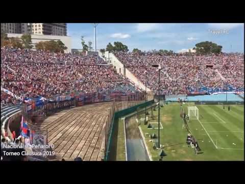 "Nacional 0 - Peñarol 0 - Previa hinchada tricolor Clausura 2019" Barra: La Banda del Parque • Club: Nacional