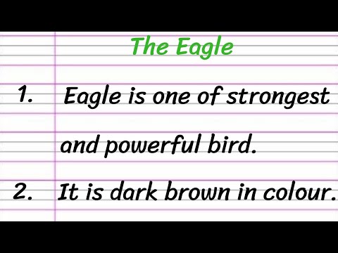 YouTube video about: What is cheel bird called in english?