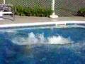 Pool Time