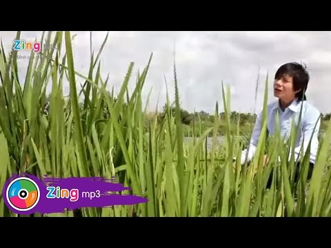 Lỡ chuyến đò tây - Bảo Hưng