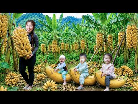 一位單親媽媽帶著她的三個孩子去採摘香蕉（一種巨大的水果）到市場上去賣，還給孩子們煮魚粥，並送他們去上學。