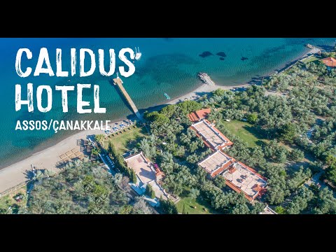 Calidus Hotel