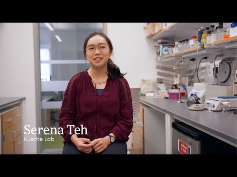 Summer Research Experience for Undergraduates - Department of Biological Sciences - University at Buffalo