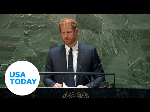 Prince Harry 'This has been a painful year and a painful decade' USA TODAY