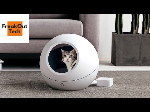 , title : '5 Incredible Inventions Your Cat Wants'