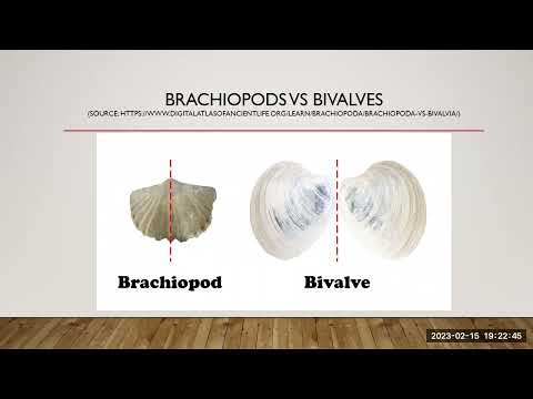 VanPS - Febuary - John Fam and his visit to the Penn Dixie Fossil Beds in NY