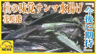 北海道に秋の味覚到来！「大きい魚もけっこういたので今後に期待」根室・花咲港でサンマ約254トン水揚げ