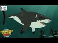 Criaturas Acuáticas Tiburones Cocodrilos Más Episodios Completos Aventuras Con Los Kratt