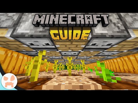 wattles - AUTOMATIC PUMPKIN FARM! | The Minecraft Guide - Tutorial Lets Play (Ep. 55)