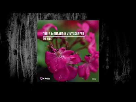 Chris Montana & Vinylsurfer - The Vibe (Original Mix)
