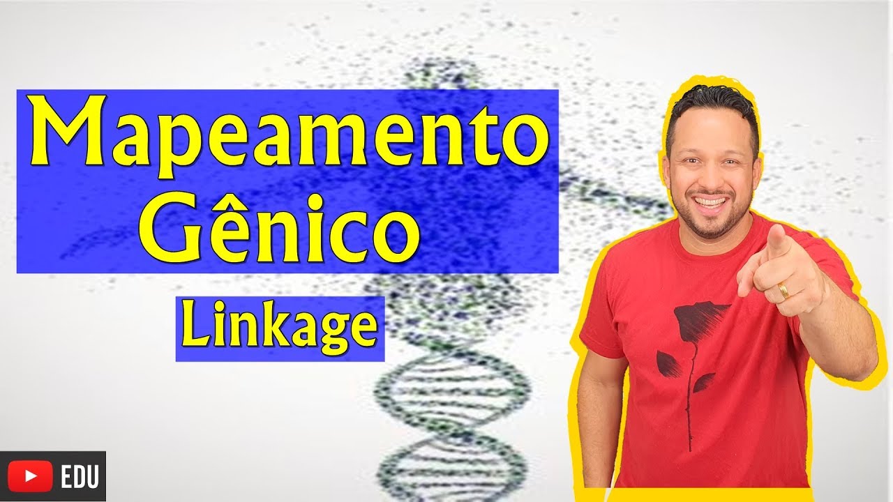 Mapeamento Gênico - Linkage ou Genes Ligados - Genética - Biologia com o Tubarão