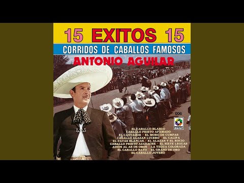 Adiós Al As De Oros video