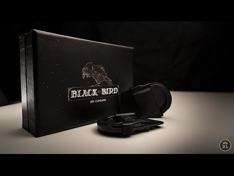 Blackbird by Jeff Copeland