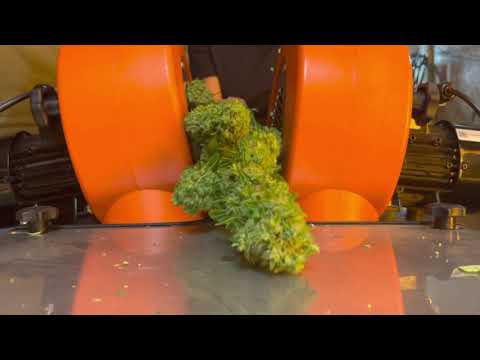 Dutch Solutions Mister Mean