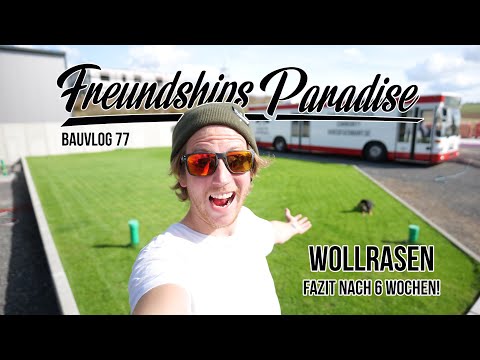 🤩 Fazit nach 6 Wochen! Wie gut ist der WOLLRASEN auf Freundships Paradise gewachsen? Bauvlog 77