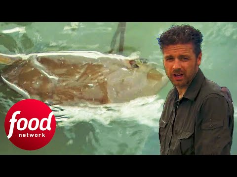 Jock Zonfrillo Hunts Stingrays With Aboriginal Tribe | Nomad Chef