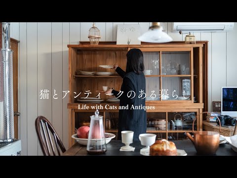 Dieting for Overweight House Cats and Rethinking Habits | Apple Cake Recipe🍎