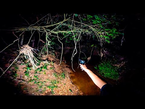 O GUARDIÃO DA MATA - CAÇADORES DE LENDAS