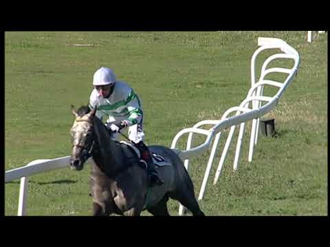 2021-02-14 Corsa 1 Metri 3500 Premio Neni da Zara