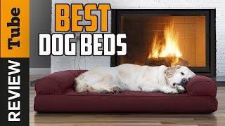 ✅Dog Bed: Best Dog Beds (Buying Guide)