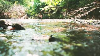 Lou Barlow - Lazy (Album Audio Only)