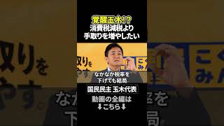 玉木代表「レシートより給与明細」消費税減税の落とし穴 #玉木雄一郎 #国民民主党 #消費税減税