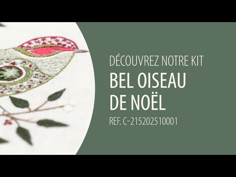 Voir la vidéo