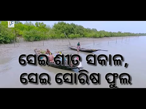 Sei Sita Sakhal, Sei Sorisa fula // Odia heart touching Song // ସେଇ ଶୀତ ସକାଳ