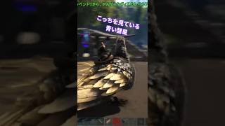 【ティラノ同時テイム】近隣に迷惑ティラノ3体を無理やり罠に嵌め込んだ候 #ark #ゲーム実況