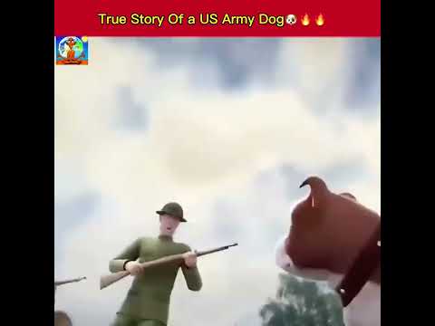 Uncovering the Inspiring 🐶 💪 True Story of a US Army Dog 🔥 🔥 #YTShorts #shorts #animation