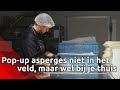 Pop-up restaurant Asperges (niet) in het veld, maar wel bij je thuis !