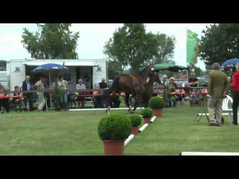 Sudweyher Fohlenschau 2012 - Kat.-Nr. 44