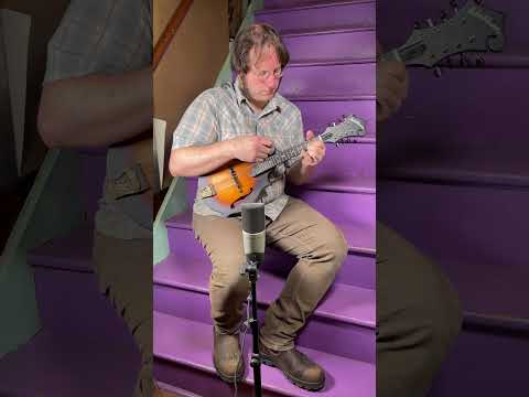 2020 Washburn M108SWK Carved F-Style Mandolin (VIDEO! Fresh Setup, Ready) image 22