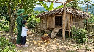Download lagu A military veteran built a shelter by hand for a hen and her brood of chicks. mp3